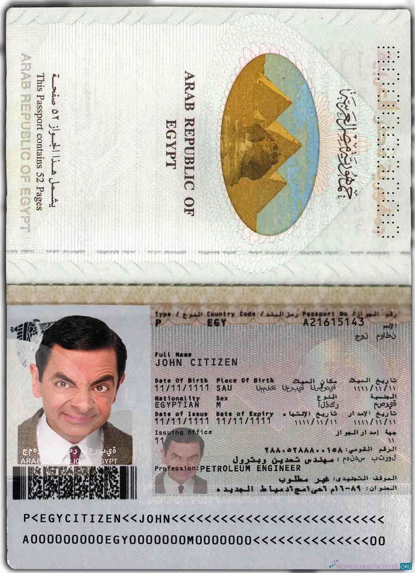 Download Egypt passport Photoshop template